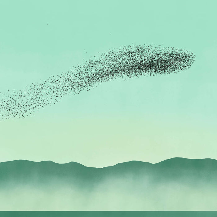 Birds in the Teal Sky