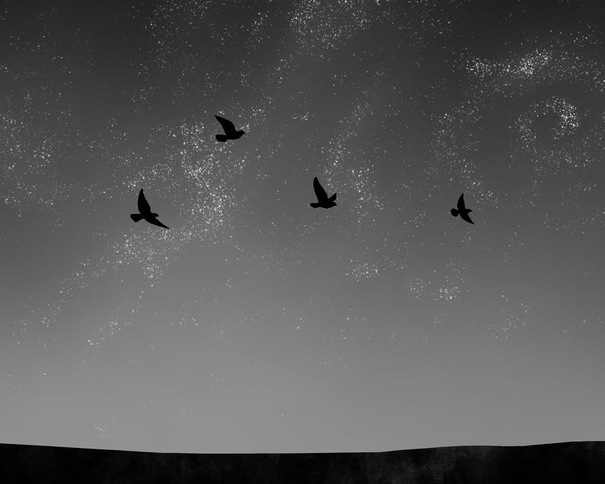 Abstract Birds in the Night