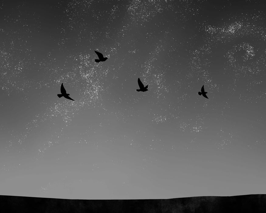 Abstract Birds in the Night