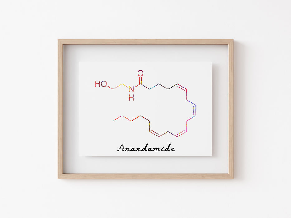 Anandamida - Impresión de moléculas
