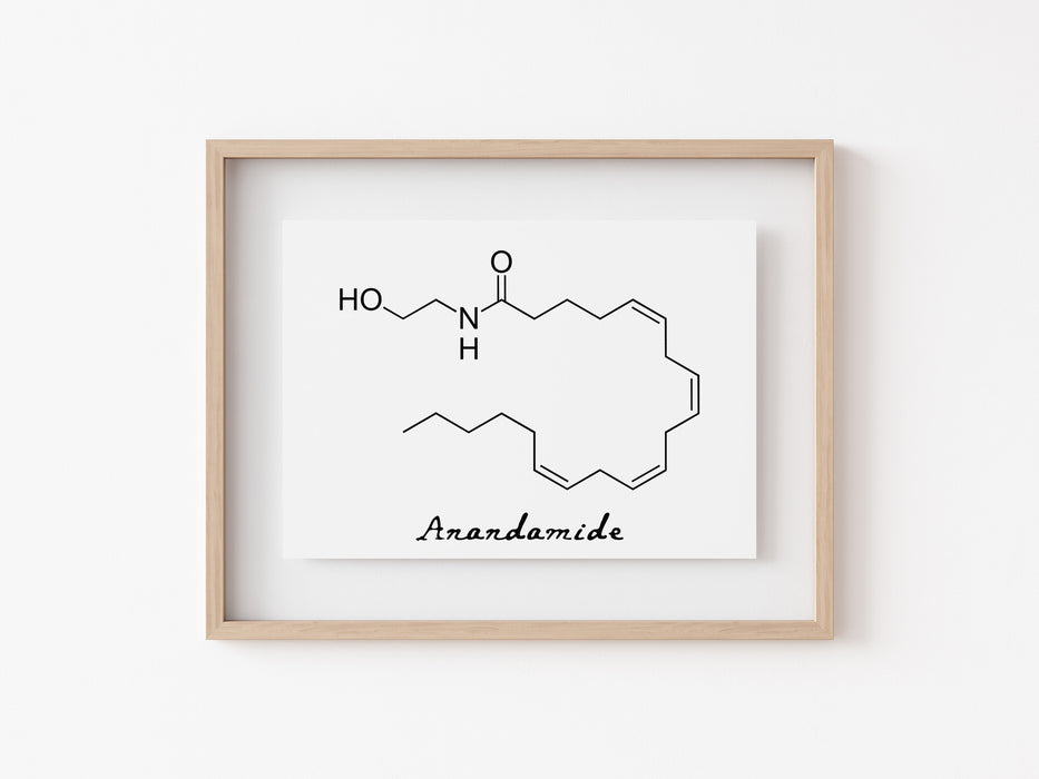 Anandamida - Impresión de moléculas