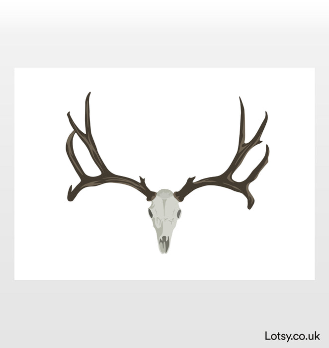 Antlers and skull