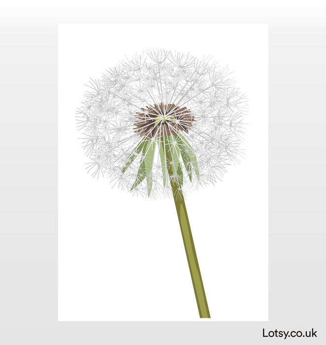 Dandelion portrait Print