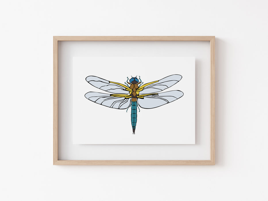 Dragonfly Print