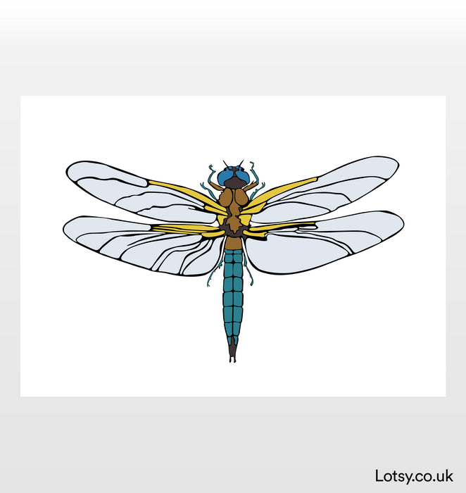 Dragonfly Print