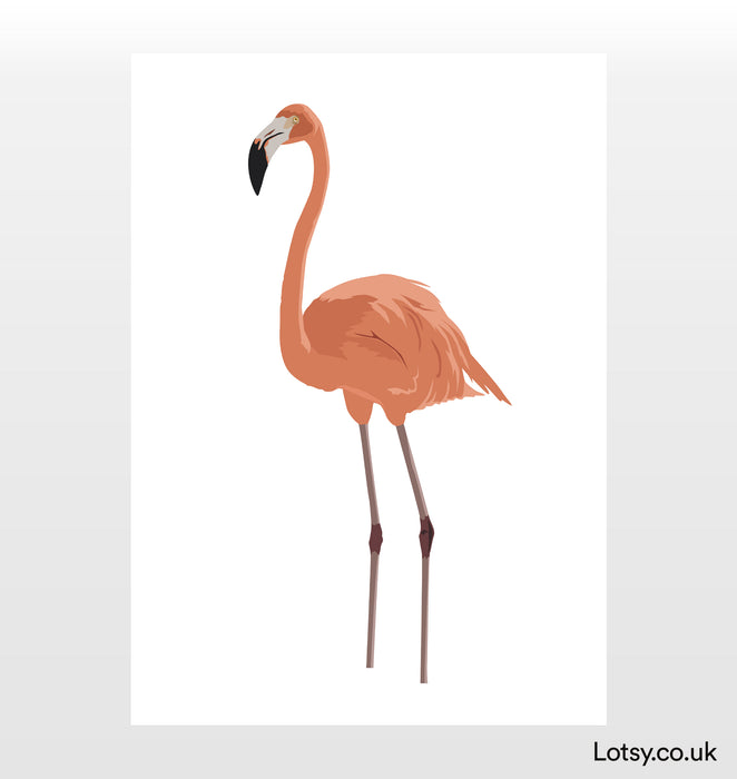 Flamingo Full Body Print