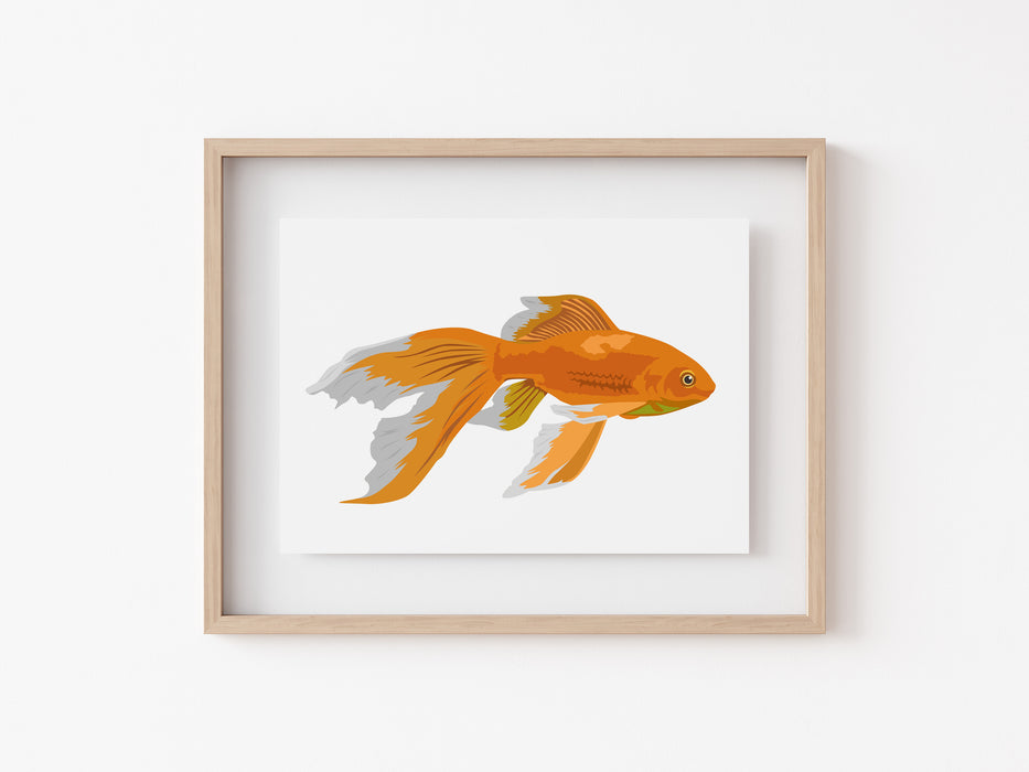 Impresión de peces de colores