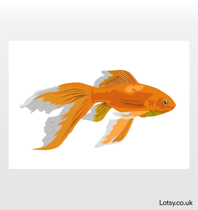 Goldfish Print
