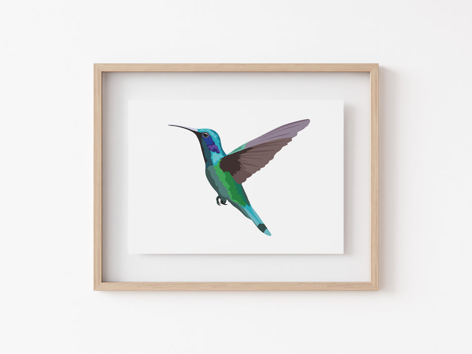 Impresión de colibrí