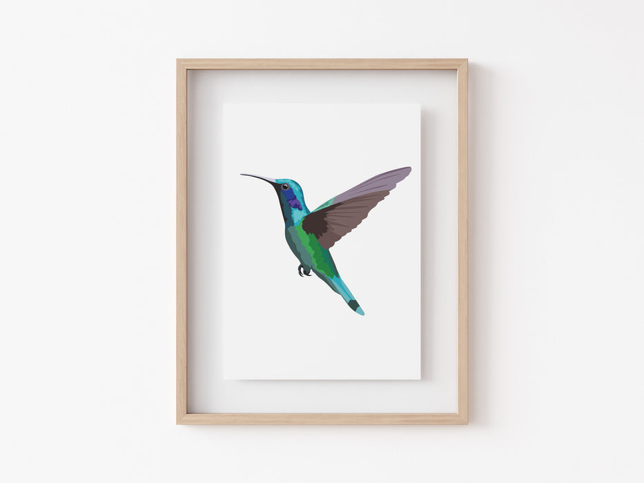 Impresión de retrato de colibrí