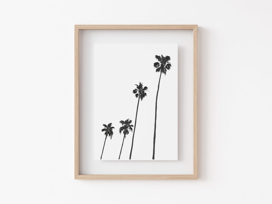 Palm trees 2 Print