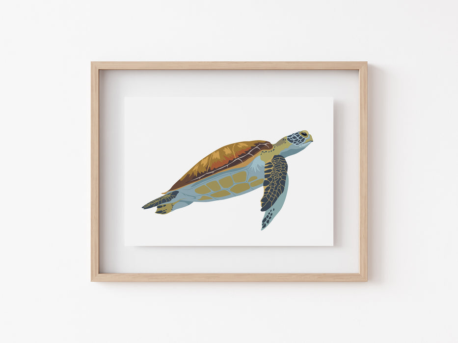 Impresión de tortugas marinas
