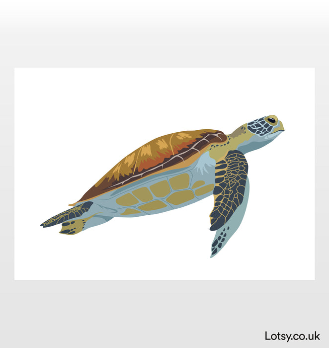Impresión de tortugas marinas
