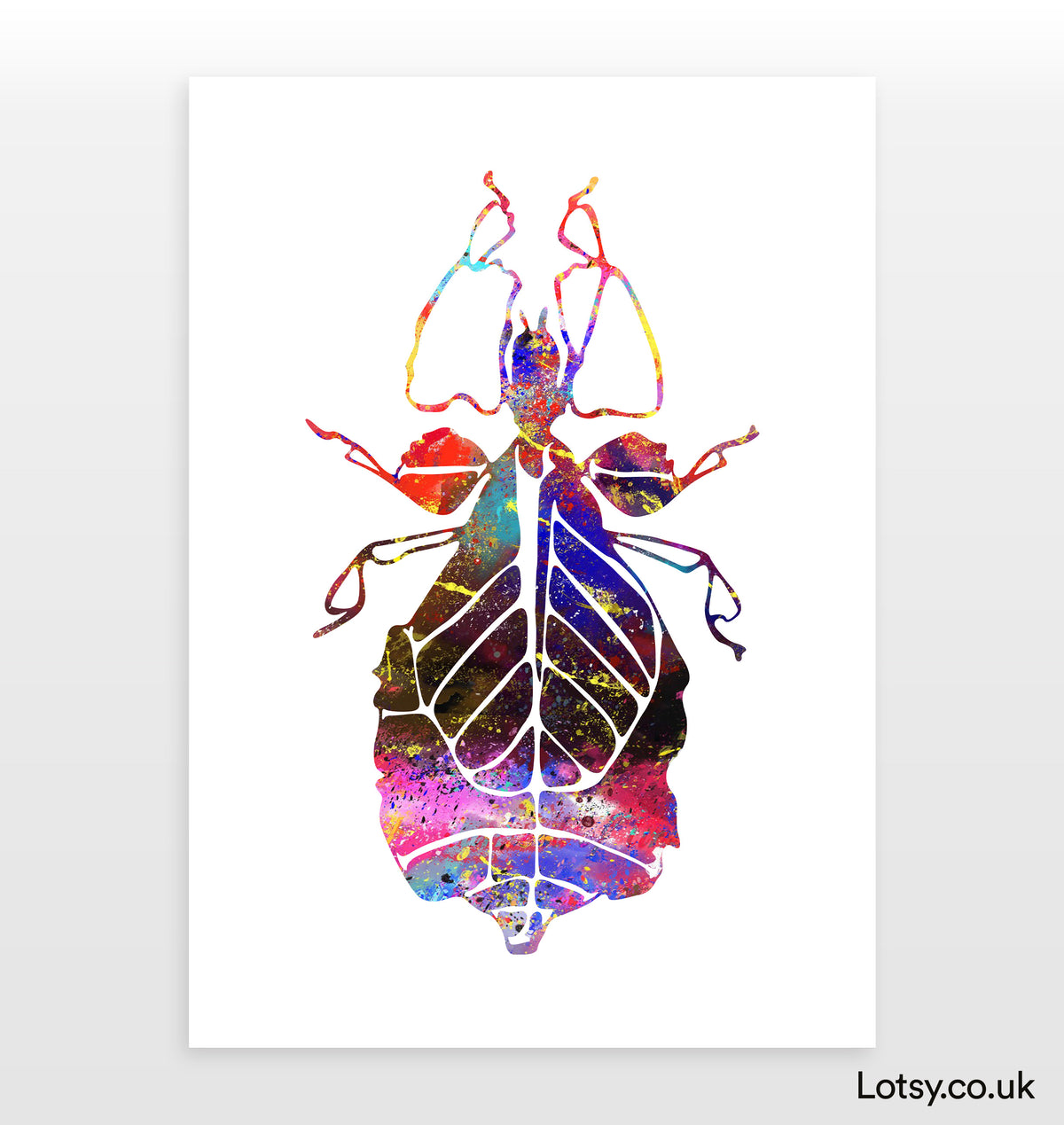 Stick Insect Print — Lotsy.co.uk