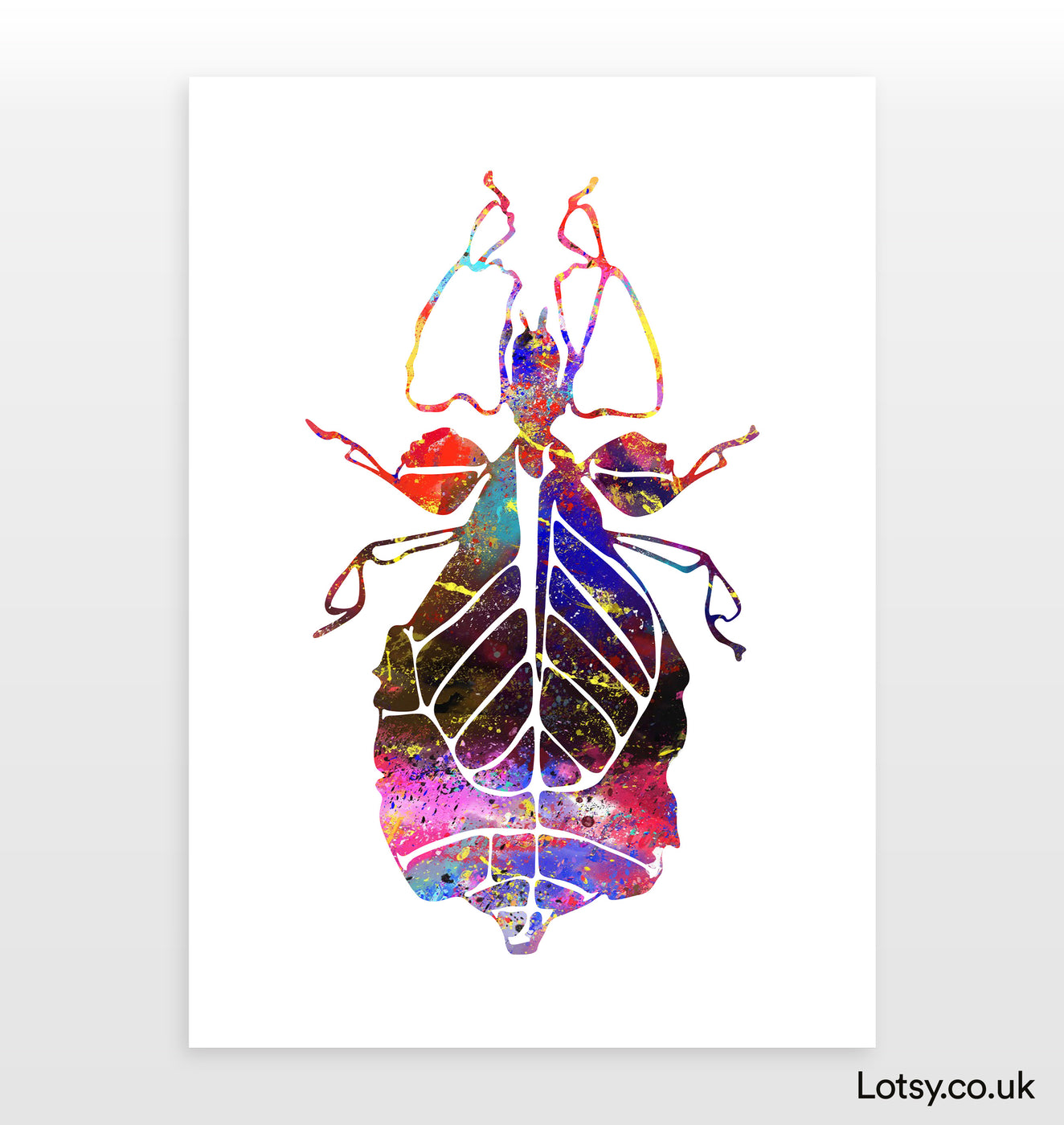 Stick Insect Print — Lotsy.co.uk