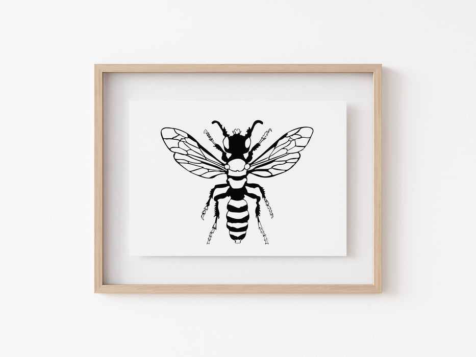 Wasp Print - Greyscale