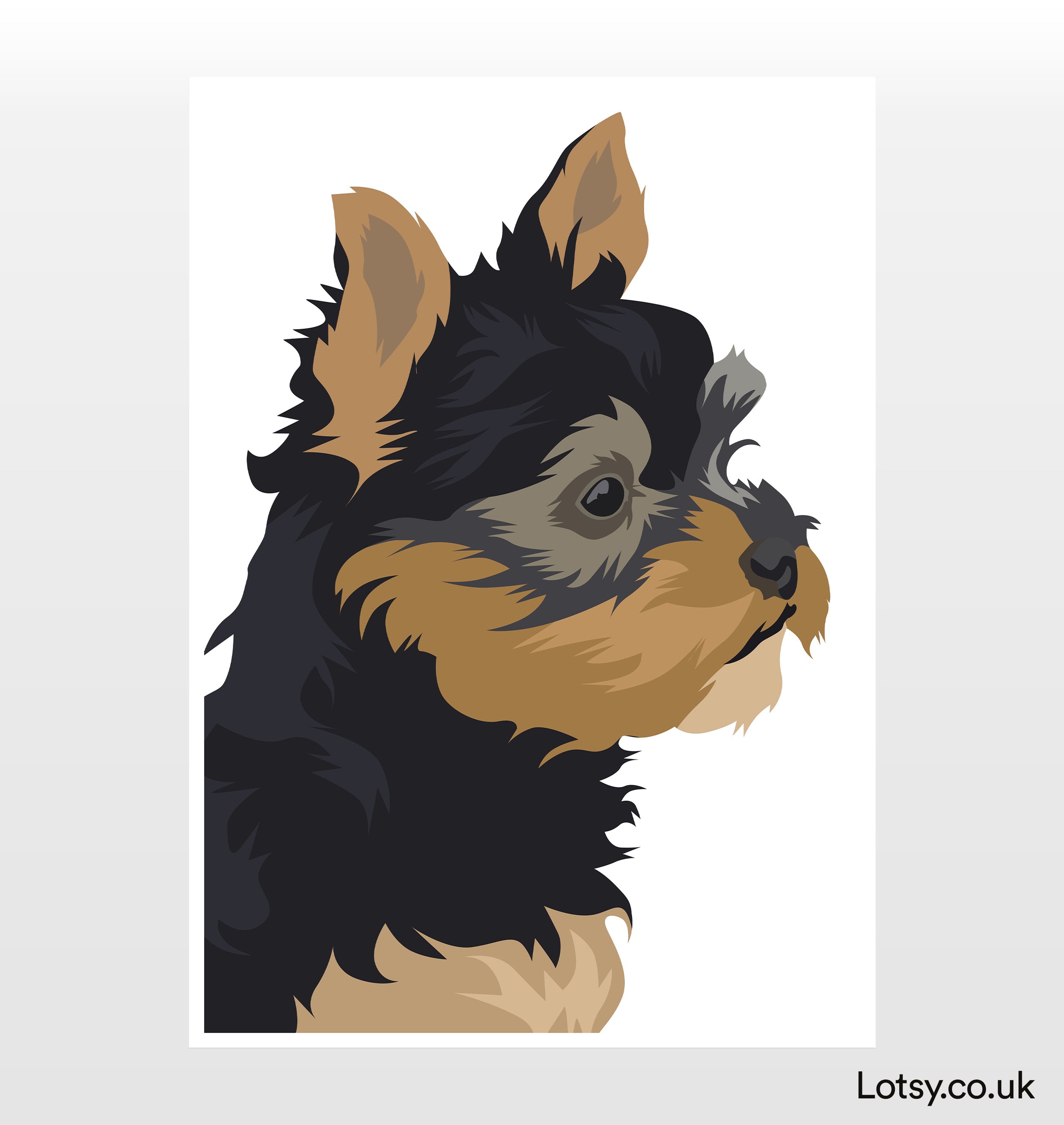 Collections — Lotsy.co.uk