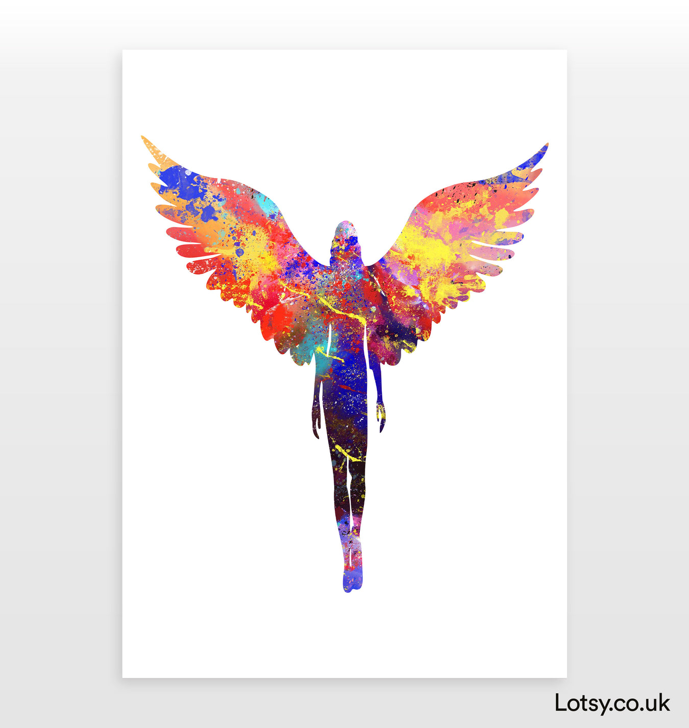 Collections — Lotsy.co.uk